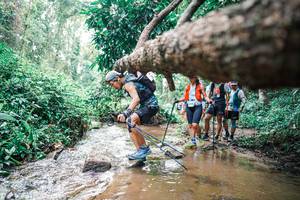 BIB: 
                            <button type="button" onclick="openModal(25372348)" class="btn btn-primary btn-sm float-right btn-popup" data-toggle="modal" data-target=".modal-high-quality">
                        <i class="fas fa-shopping-cart"></i> Add to Cart
                    </button>
                                            <button type="button" onclick="isThisMe(25372348, true)" class="btn btn-success btn-sm float-right btn-popup btn-isme hidden" data-toggle="tooltip" data-placement="bottom" title="นี่คือรูปของคุณใช่ไหม คลิกที่นี่เพื่อเอาเข้าอัลบั้ม">
                        <i class="fas fa-plus"></i> Add to album
                    </button>
                    <button type="button" onclick="isThisMe(25372348, false)" class="btn btn-warning btn-sm float-right btn-popup btn-isnotme hidden">
                        <i class="fas fa-ban"></i> Remove from album
                    </button>